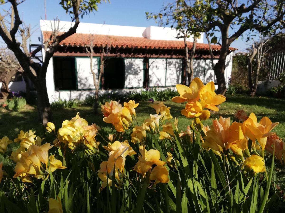 Casa Rural Limon Y Sol El El Sauzal Exterior foto