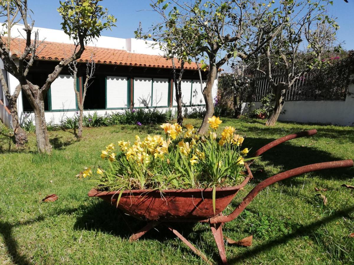 Casa Rural Limon Y Sol El El Sauzal Exterior foto