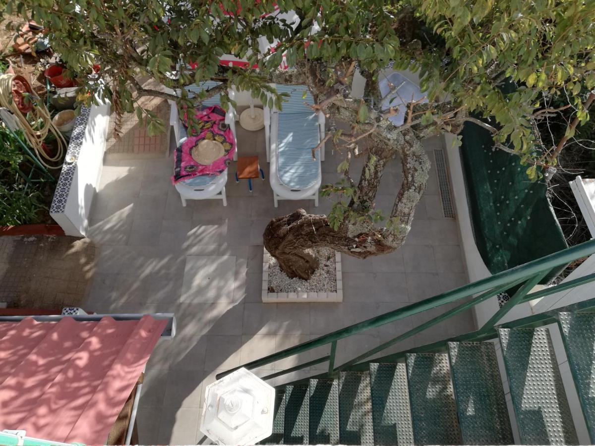 Casa Rural Limon Y Sol El El Sauzal Exterior foto
